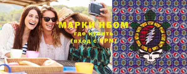 дмт Пестово
