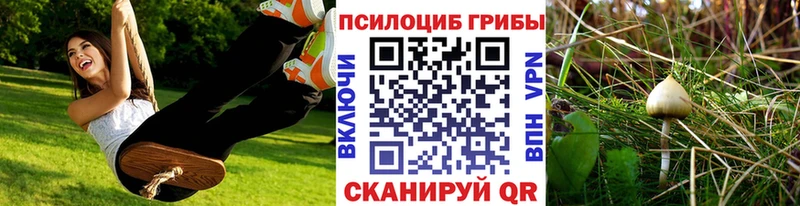 Галлюциногенные грибы Cubensis  Соликамск 