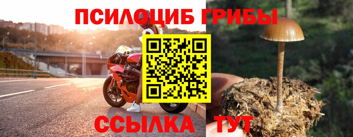 Псилоцибиновые грибы Psilocybine cubensis  Вход с VPN  Соликамск  как найти наркотики  Галлюциногенные грибы мицелий 